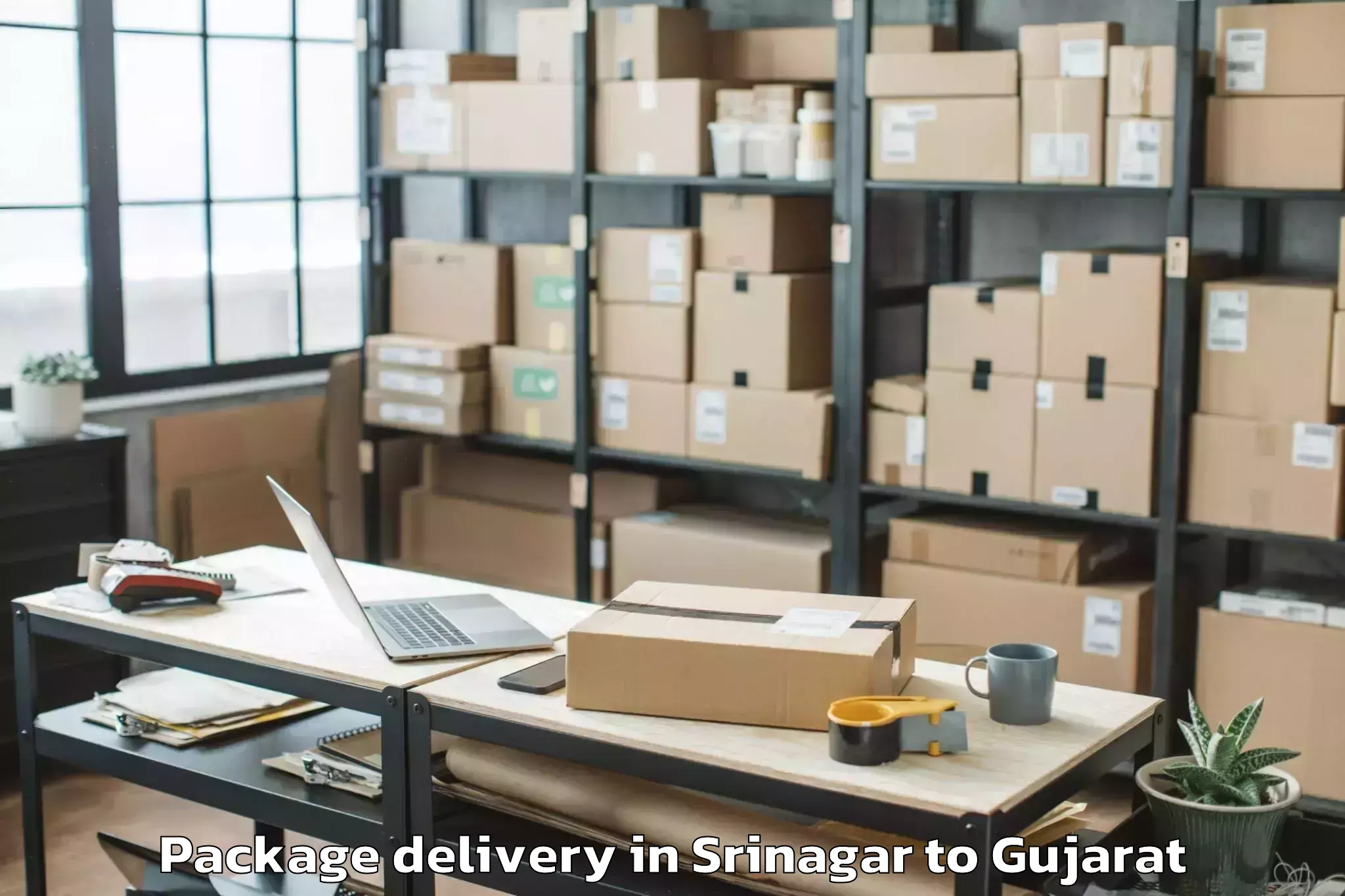 Professional Srinagar to Dhuvaran Package Delivery